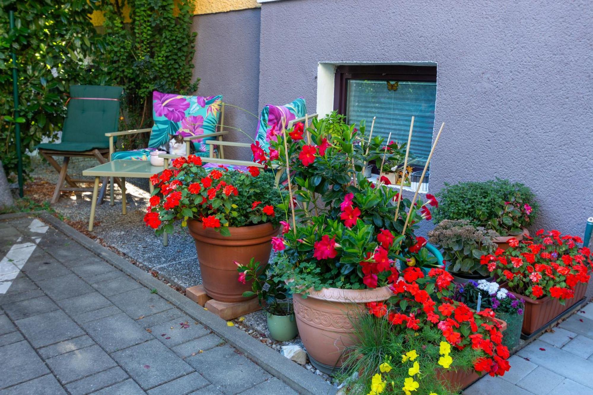 Benjamins Refugium Apartment Salzburg Exterior photo